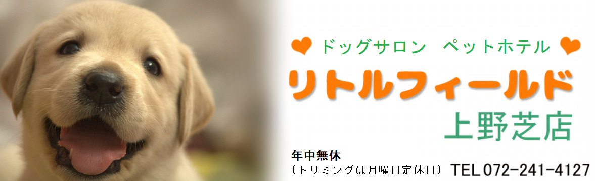 サイトバナー　年中無休(トリミングは月曜日定休日)